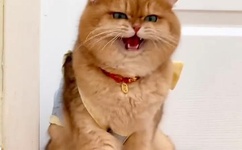 用点力就快出来啦